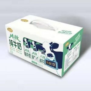乳泰醇清真纯牛奶箱装