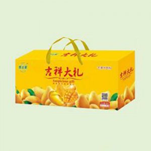 壹吉果诱人芒果汁吉祥大礼盒装