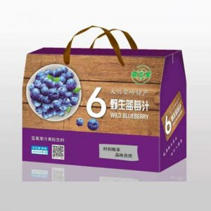 壹吉果野生蓝莓汁盒装