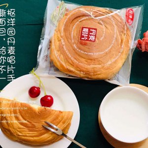 枢洋园丹麦唱片面包