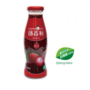 扬百利杨梅汁300ml