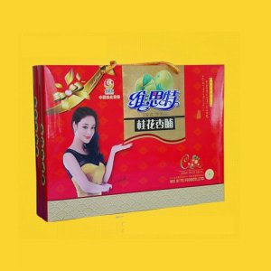 维思特桂花杏脯（礼盒）