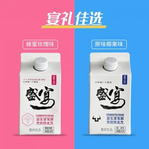 康伴菌特盛宴酸奶饮品460g
