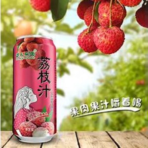 达人乐园荔枝果肉果汁
