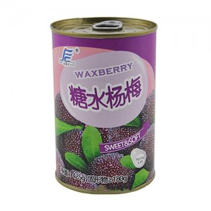 富春江糖水杨梅罐头425g