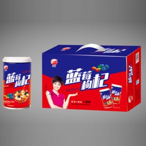 耿旺蓝莓枸杞八宝粥