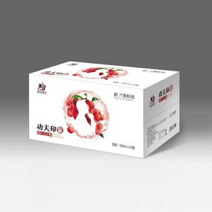 功夫印象灵山荔枝饮料500mlx15瓶