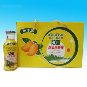 禾丰源泰式芒果汁箱装