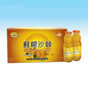 天维宝鲜榨沙棘饮料