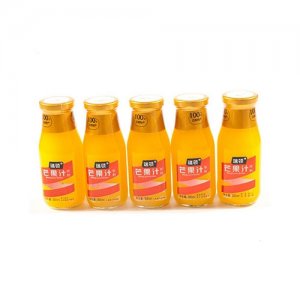 瑞顿芒果汁饮料300ml