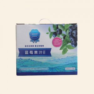 超蓝世界蓝莓果汁盛宴礼盒