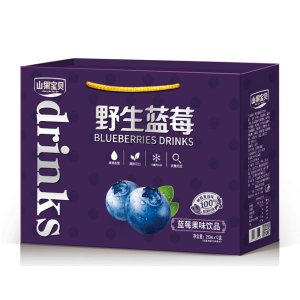 山果宝贝野生蓝莓果味饮品250mlx12盒