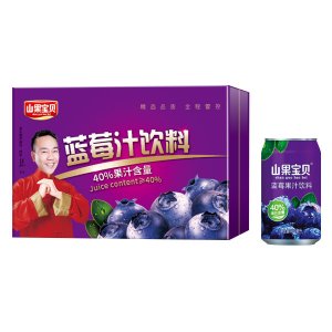 山果宝贝蓝莓汁饮料礼盒