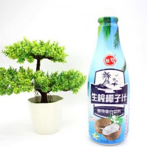 桂钦生榨椰子汁植物蛋白饮料1.25L