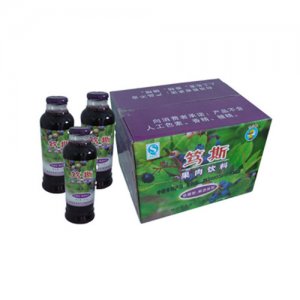 丑小鸭三江-蓝莓饮料-420ml