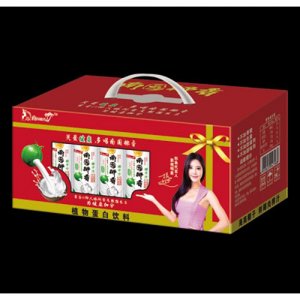 南国椰香椰子汁245ml礼盒