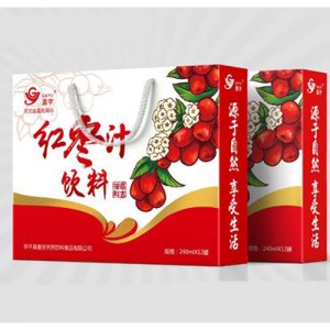 盖宇红枣汁饮料240mlx12罐