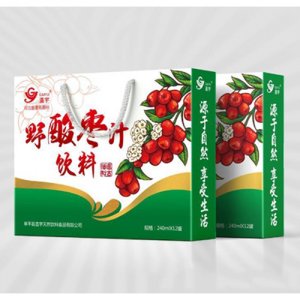 盖宇野酸枣汁饮料240mlx12罐