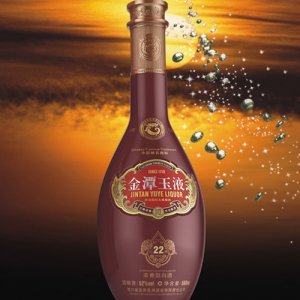 金潭玉液坛藏22酒