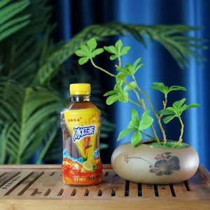 嗦雅庄园冰红茶柠檬味350ml