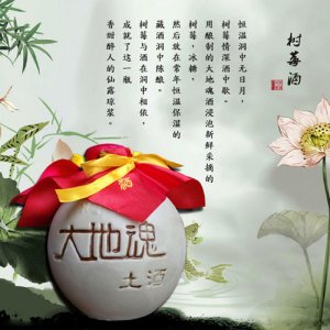 大地魂酒400ml洞藏树莓酒