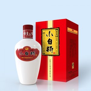 白杨酒小白杨十年小老窖