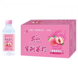 九州华洋蜜桃苏打水饮料简箱