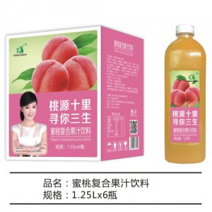 九州华洋蜜桃复合果汁饮料简箱