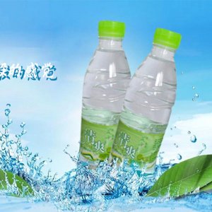 夏朵名泉薄荷水饮料500ml