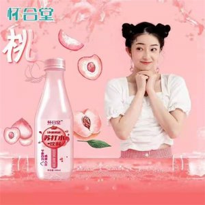 怀合堂苏打水饮料蜜桃味400ml