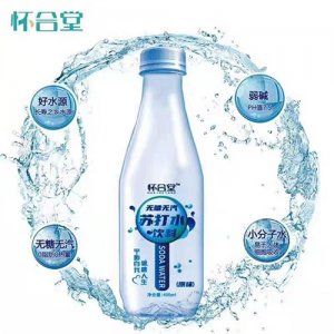怀合堂无汽苏打水饮料原味400ml