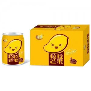 维维粒粒芒果果汁饮料礼盒