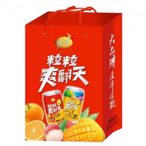 维维粒粒爽翻天水果果粒饮料礼盒