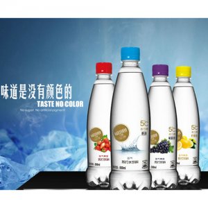 活力恩5℃含气苏打水饮料500ml