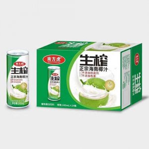 南方虎生榨椰汁245ml×2