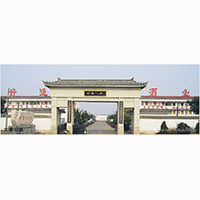 亳州市好运酒业有限责任公司