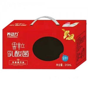 长泽乳业养动力果粒乳酸菌