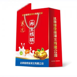 昌露养生核桃植物蛋白饮料手提装