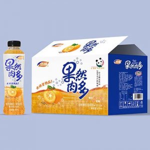 浩明果然肉多金桔奇亚籽果粒复合果汁500mlx15瓶