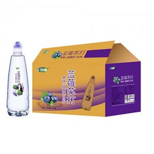 浩明蓝莓苏打500mlx15瓶