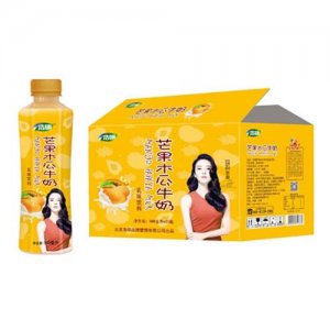 浩明芒果木瓜牛奶500mlX15