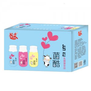 智爽菌酷乳酸菌饮品