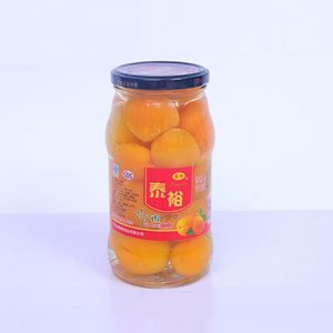 泰裕1000克杏水果罐头