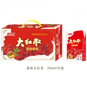 新湖源20盒大红枣