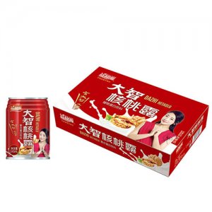 益和源红大智核桃露20罐装