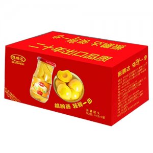 振鹏达248克黄桃罐头箱装