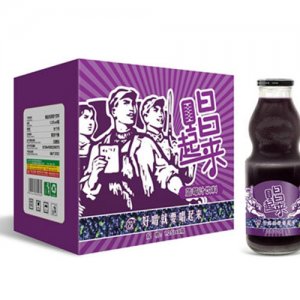 唱起来蓝莓汁1.25Lx6瓶（葫芦瓶）