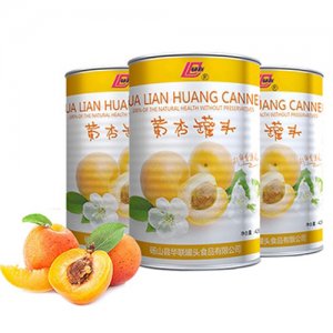 砀联黄杏罐头