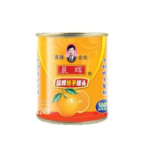 晨辉248g桔子罐头