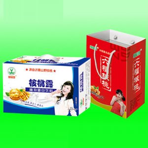 绿知园核桃露植物蛋白饮料套装
